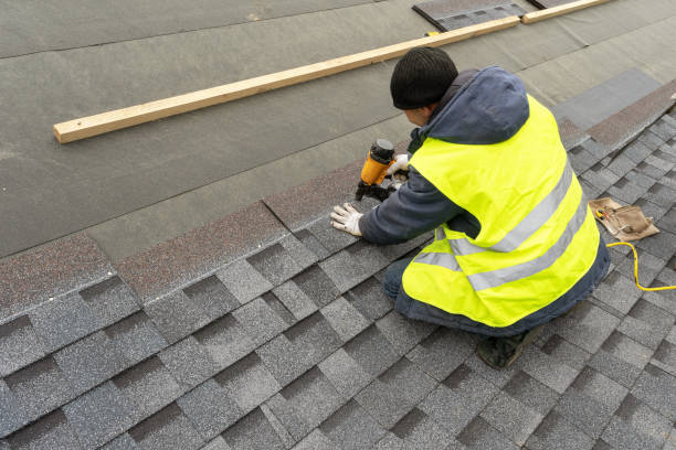 Best Shingle Roofing Installation  in Water Valley, MS